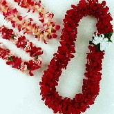 Leis of Hawaii