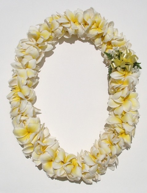 Plumeria Leis Pictures 41