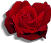 Red20Rose.gif (1703 bytes)