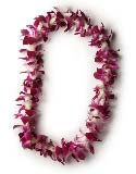 Standard Upgrade ~ Single Sonia Orchid Lei