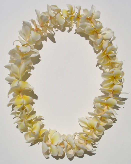 Plumeria Leis Pictures 36